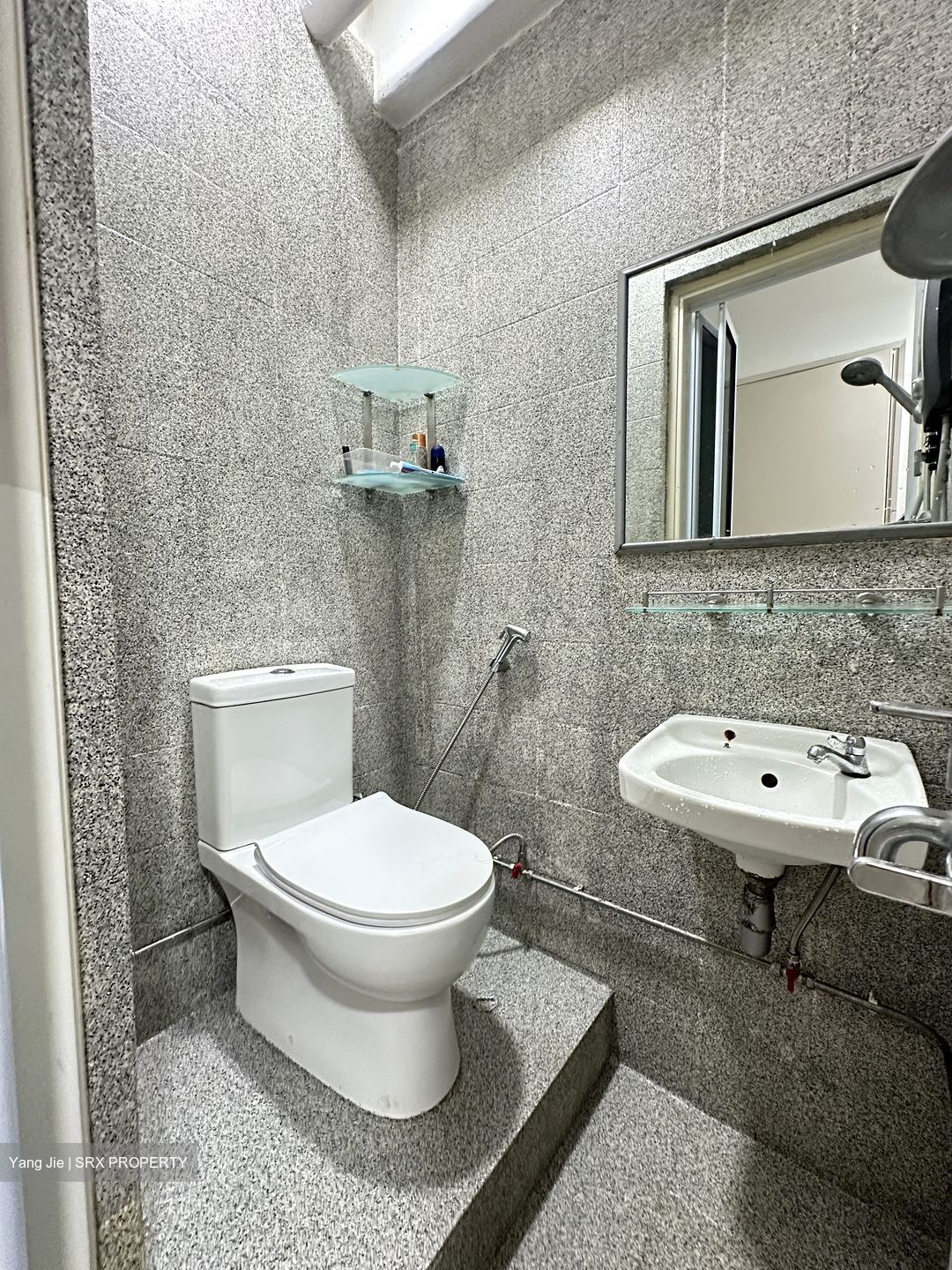 Simsville (D14), Condominium #500095741